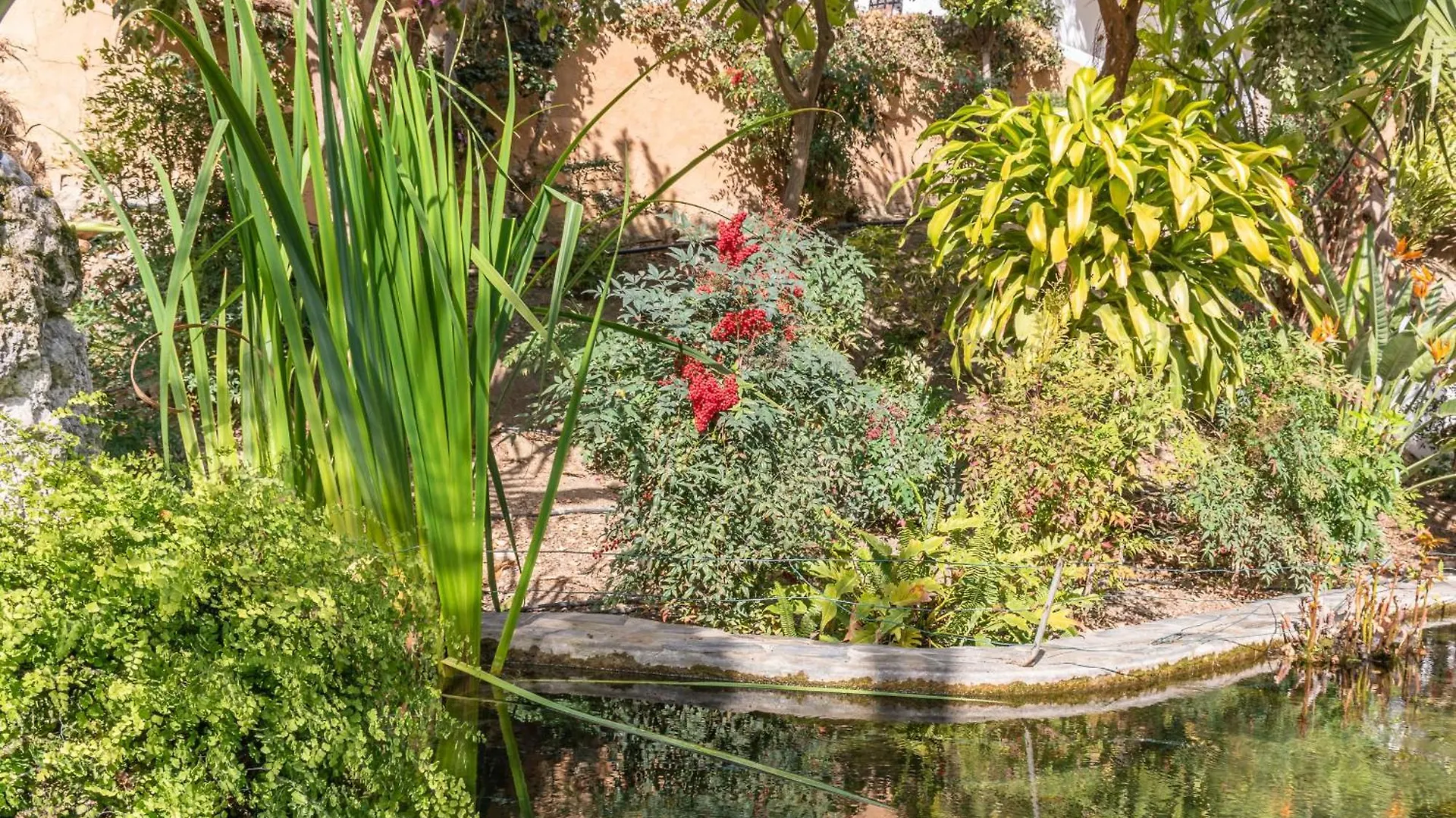 Apartment Rabat 7 Oasis Properties Nerja