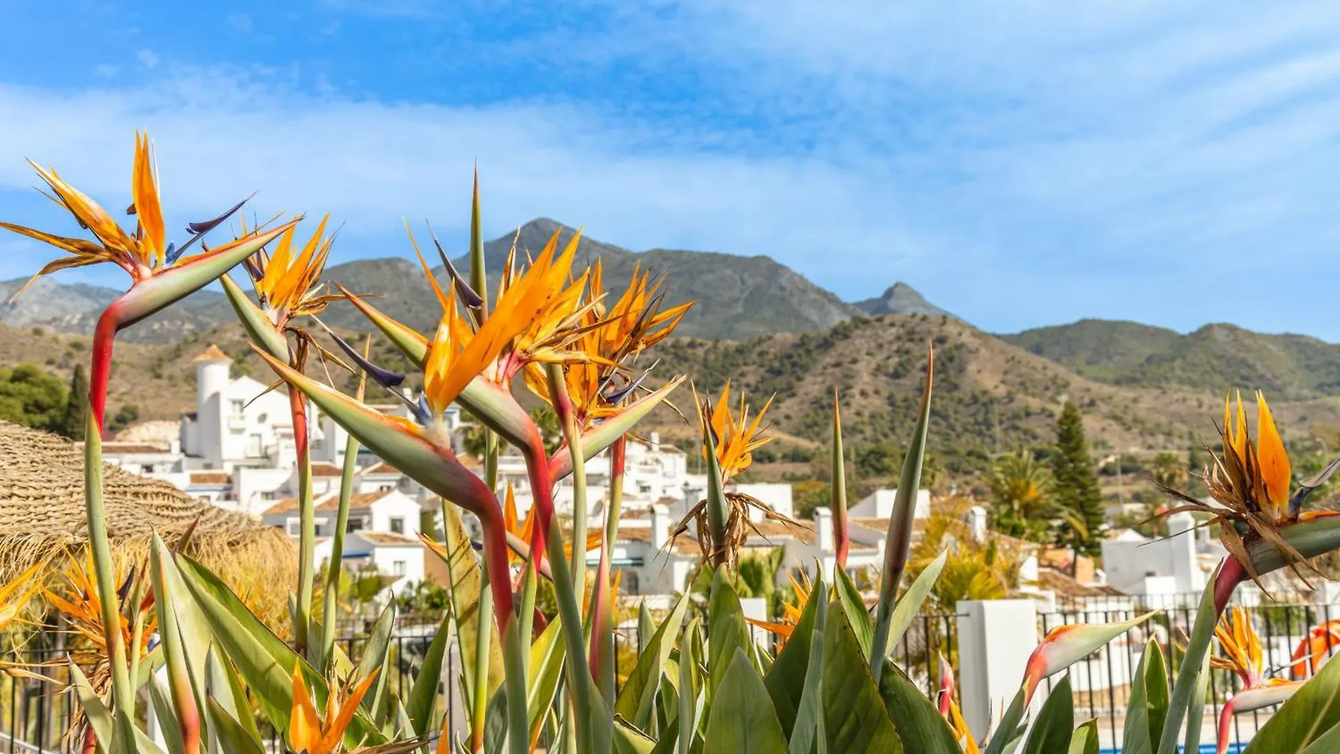Rabat 7 Oasis Properties Nerja Spain