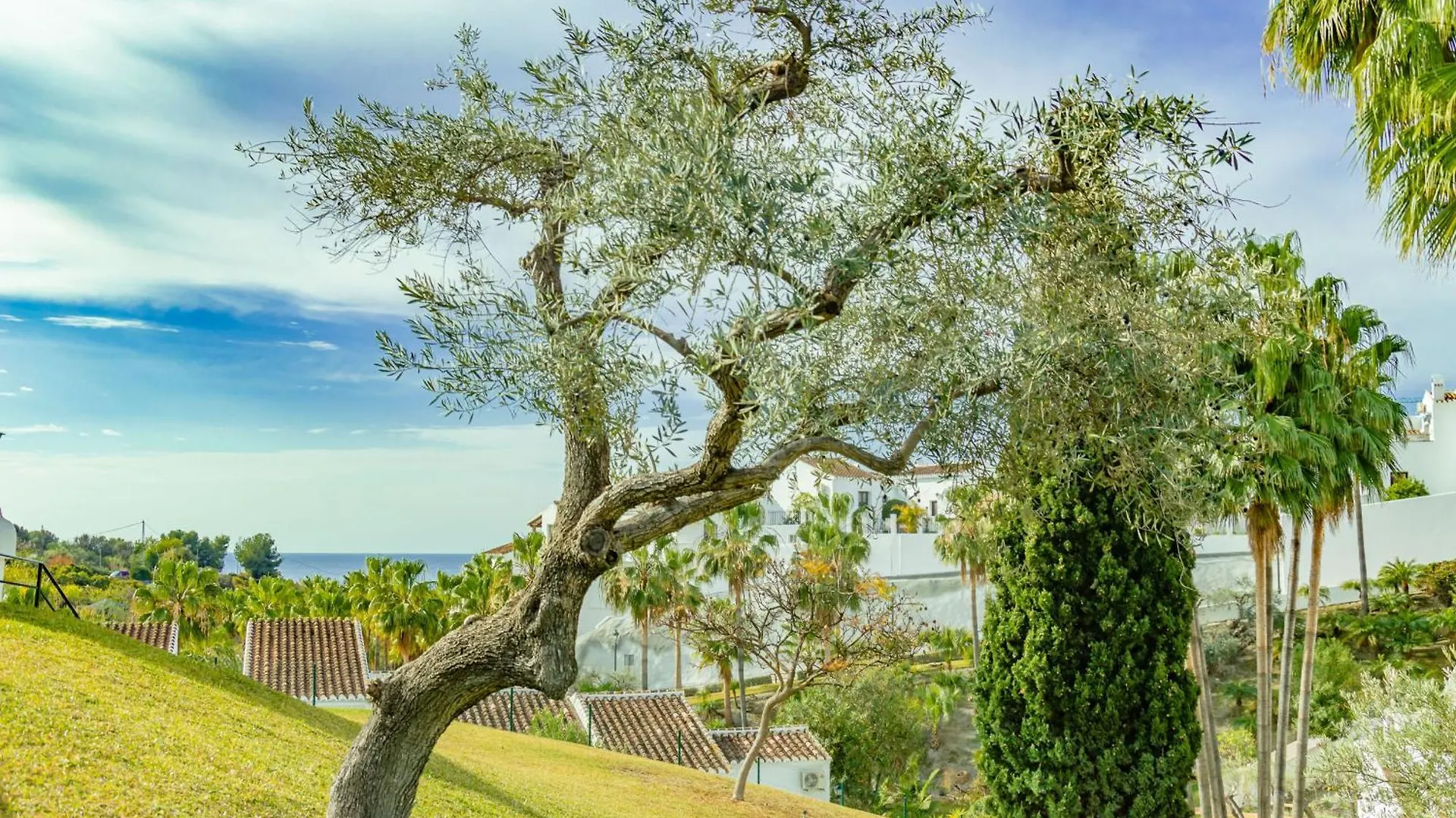 Rabat 7 Oasis Properties Nerja 0*,