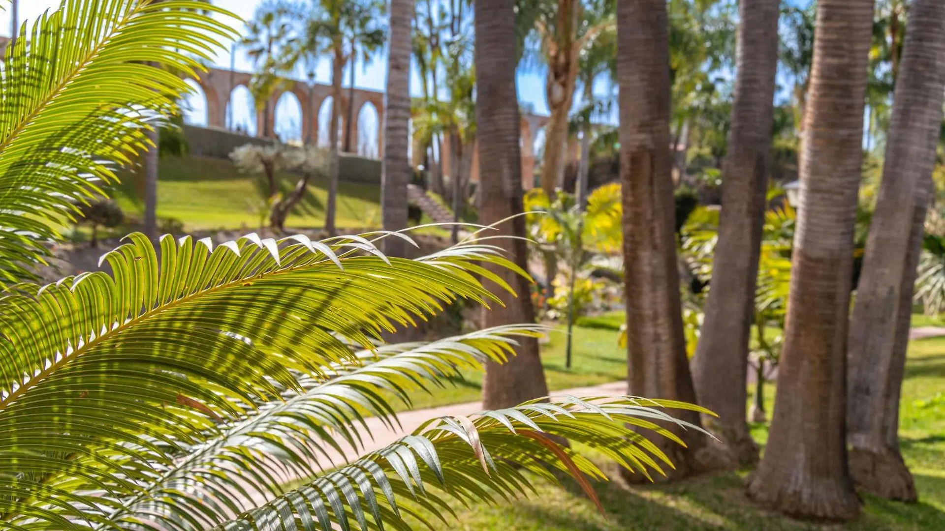 アパート Rabat 7 Oasis Properties ネルハ スペイン